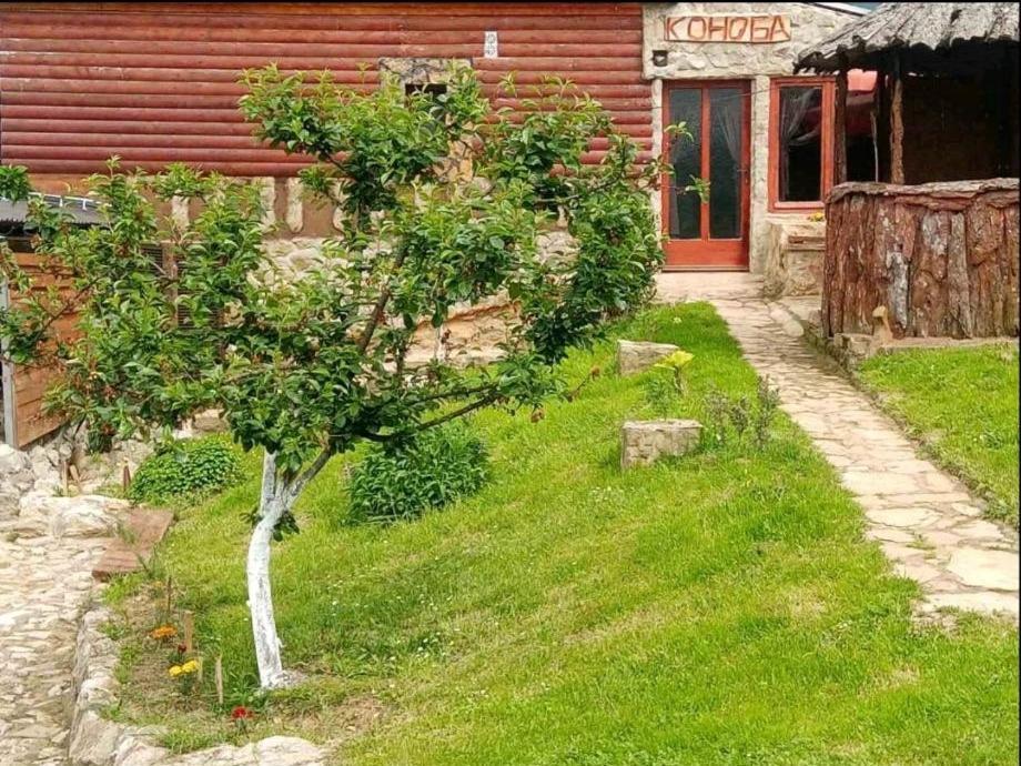 Smestaj Popovic Perućac Kültér fotó